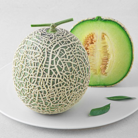 곰곰 머스크 멜론, 1.2kg, 1개 후숙방법 당도높은 신선배송 과일선물 여름디저트